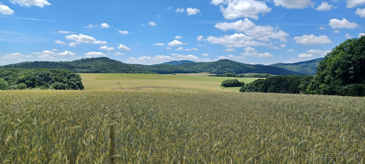 Na predaj orná pôda v obci Podkylava, časť Jancovo.(Myjava) - 6