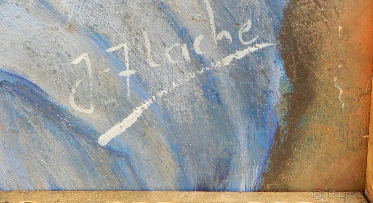 Zbierka obrazov -Flaché Julius - 6