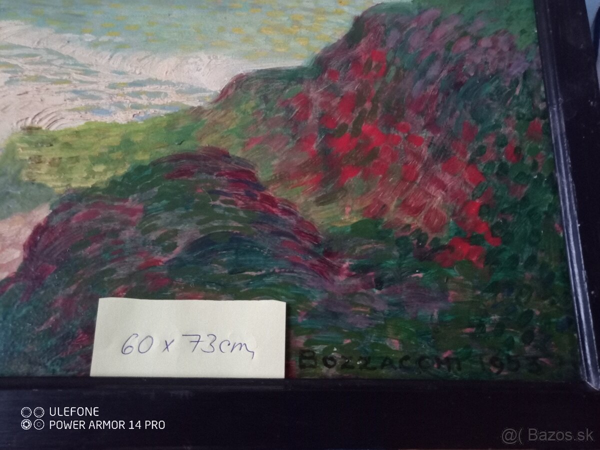 Obrazy -olej na plátne - 6