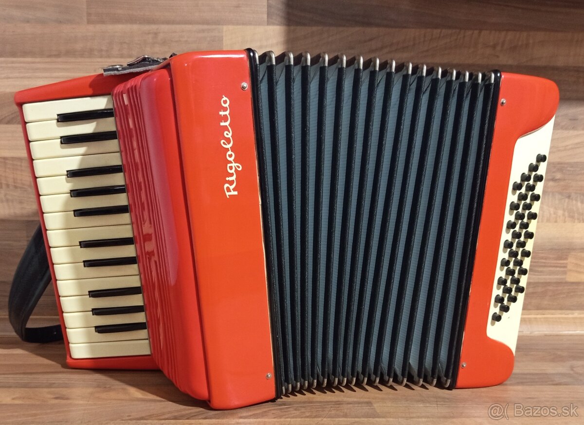 Akordeon, harmonika, heligonka - 6