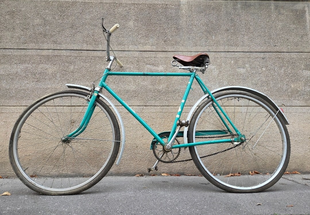 BLATNÍKY....................,............................... - 6