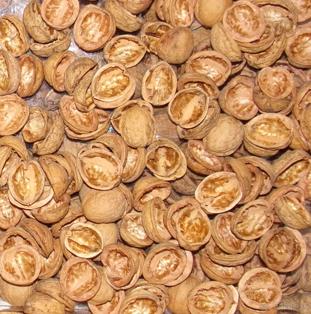 SUŠENÉ KVETY, ŠIŠKY a iné plody do dekorácií - 6