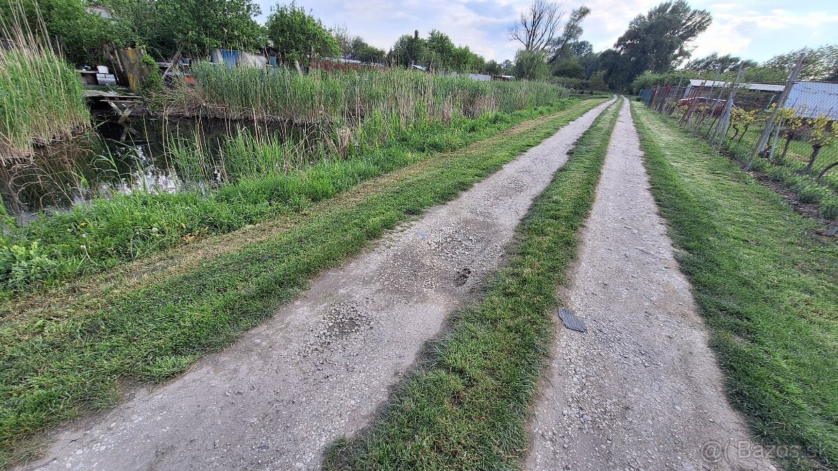 ‼️AKCIA‼️Predám zahradu s chatou v Štúrove na sutoku Dunaja - 6