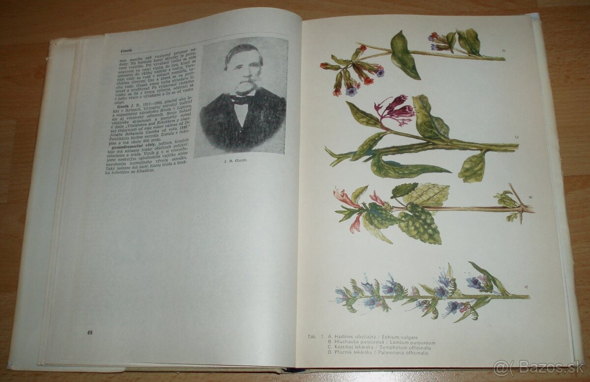 Včelársky náučný slovník - 6