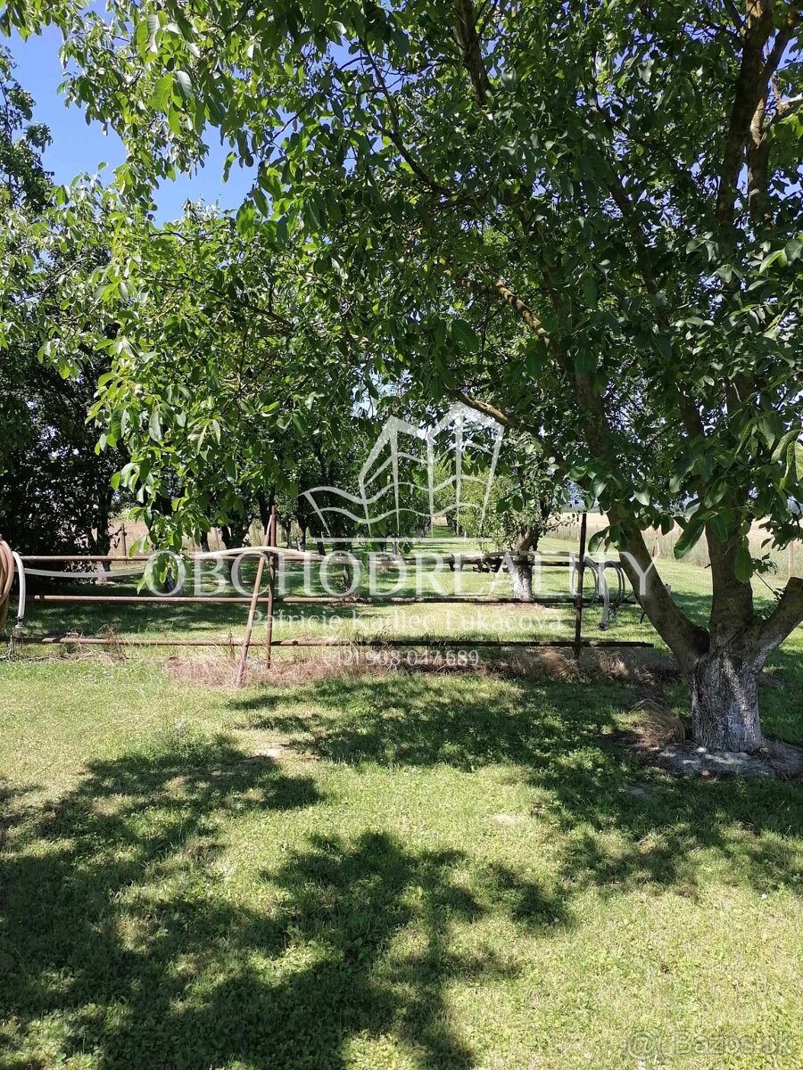 Pozemok so záhradou a ovocným sadou - Nižný Hrušov - 6