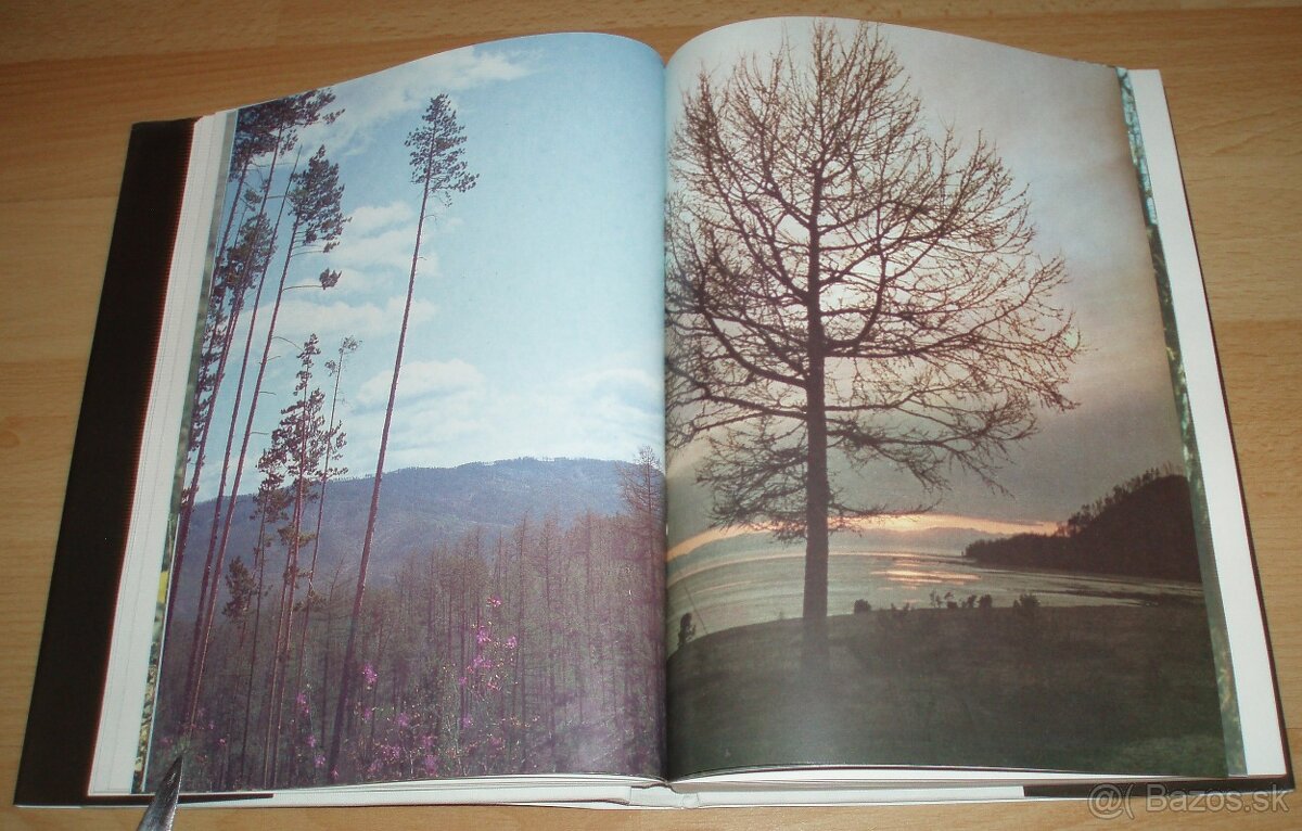 Černý sobol, hnědý medvěd - 6