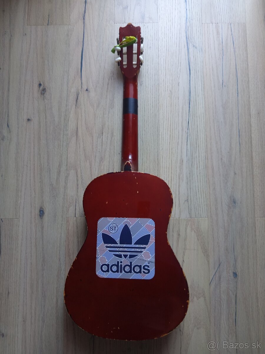 Akustické gitary Encore , MSA C20Y - 6