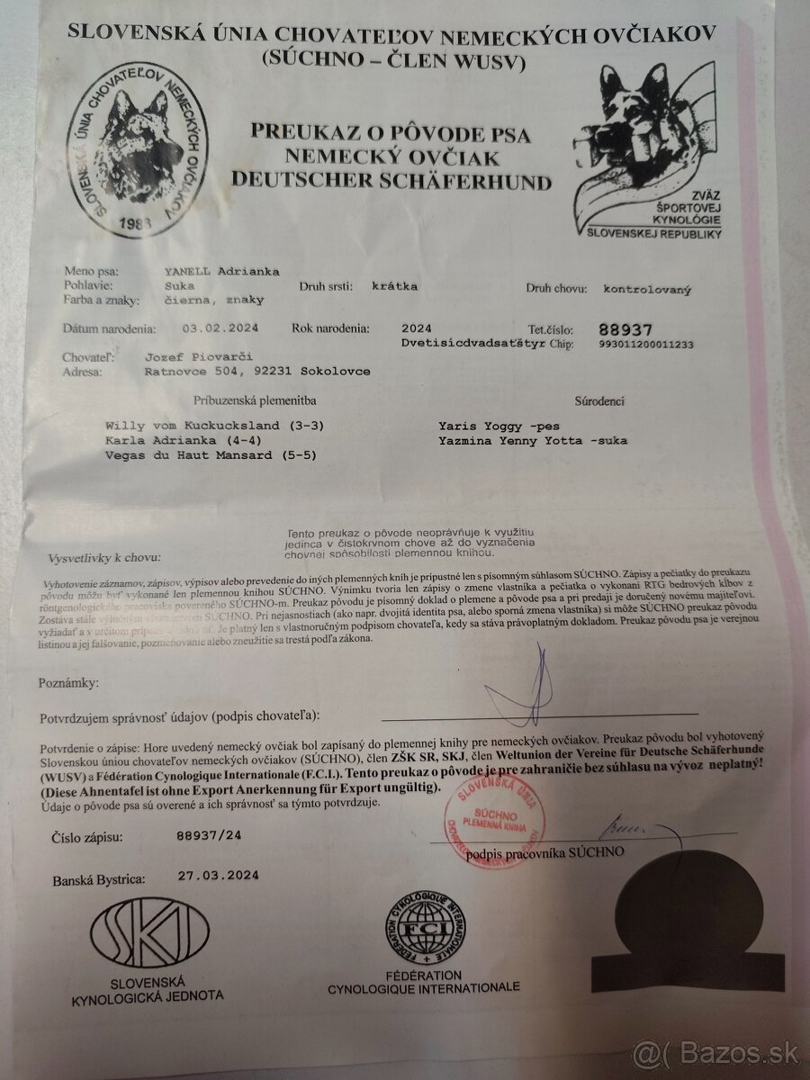 Nemecký ovčiak - 6