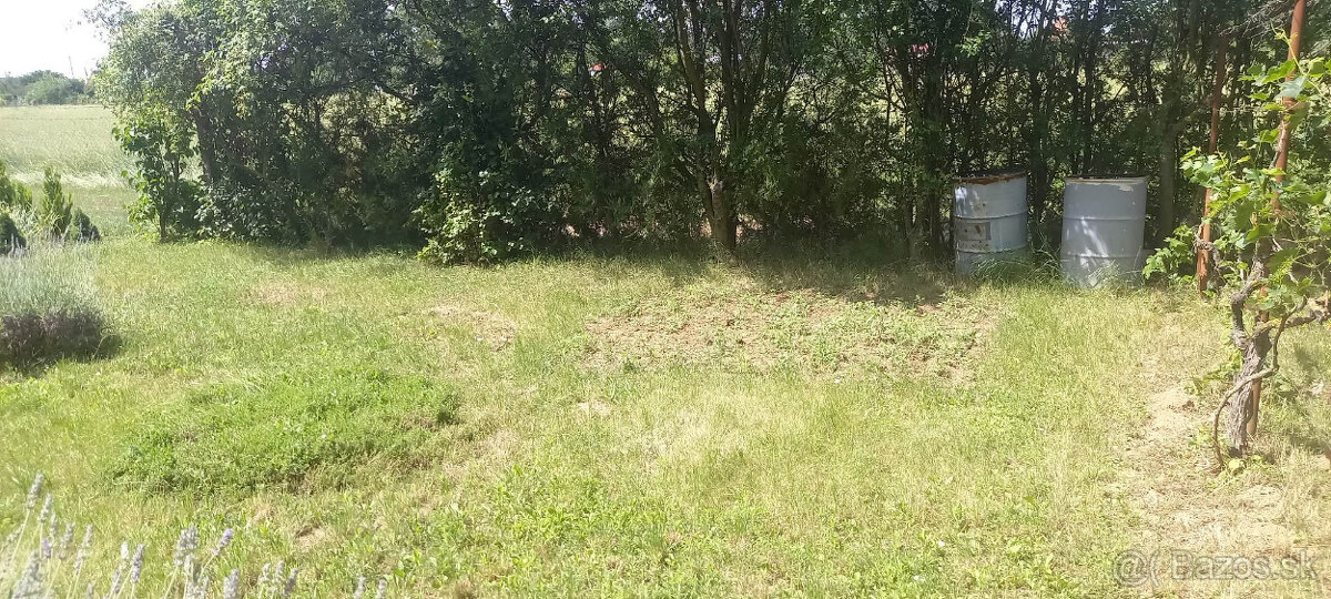 Záhradka v Seredi - 6