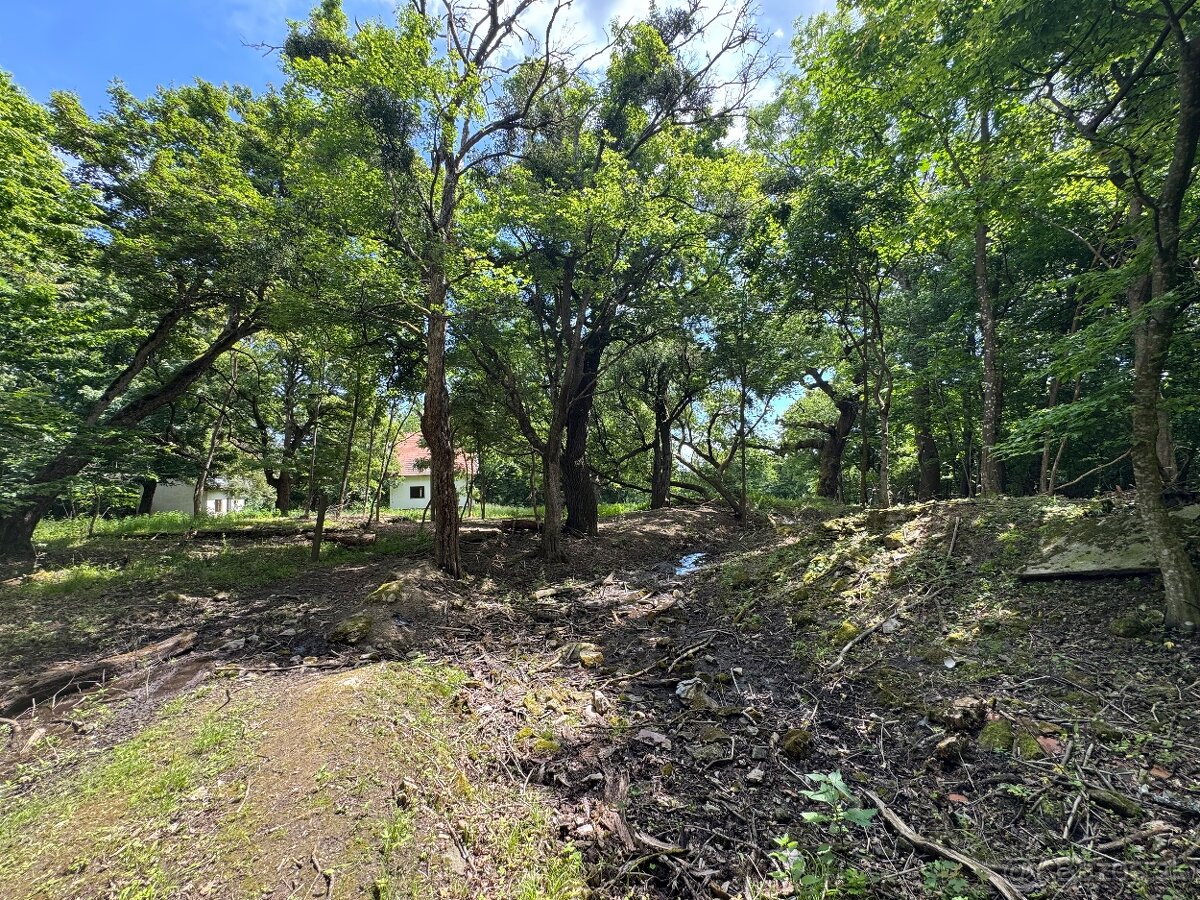 Hatfa - bývale kúpele v obci Viničky - 6