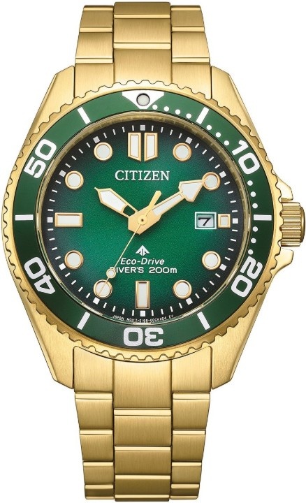 Citizen Promaster Eco-Drive Diver - 6