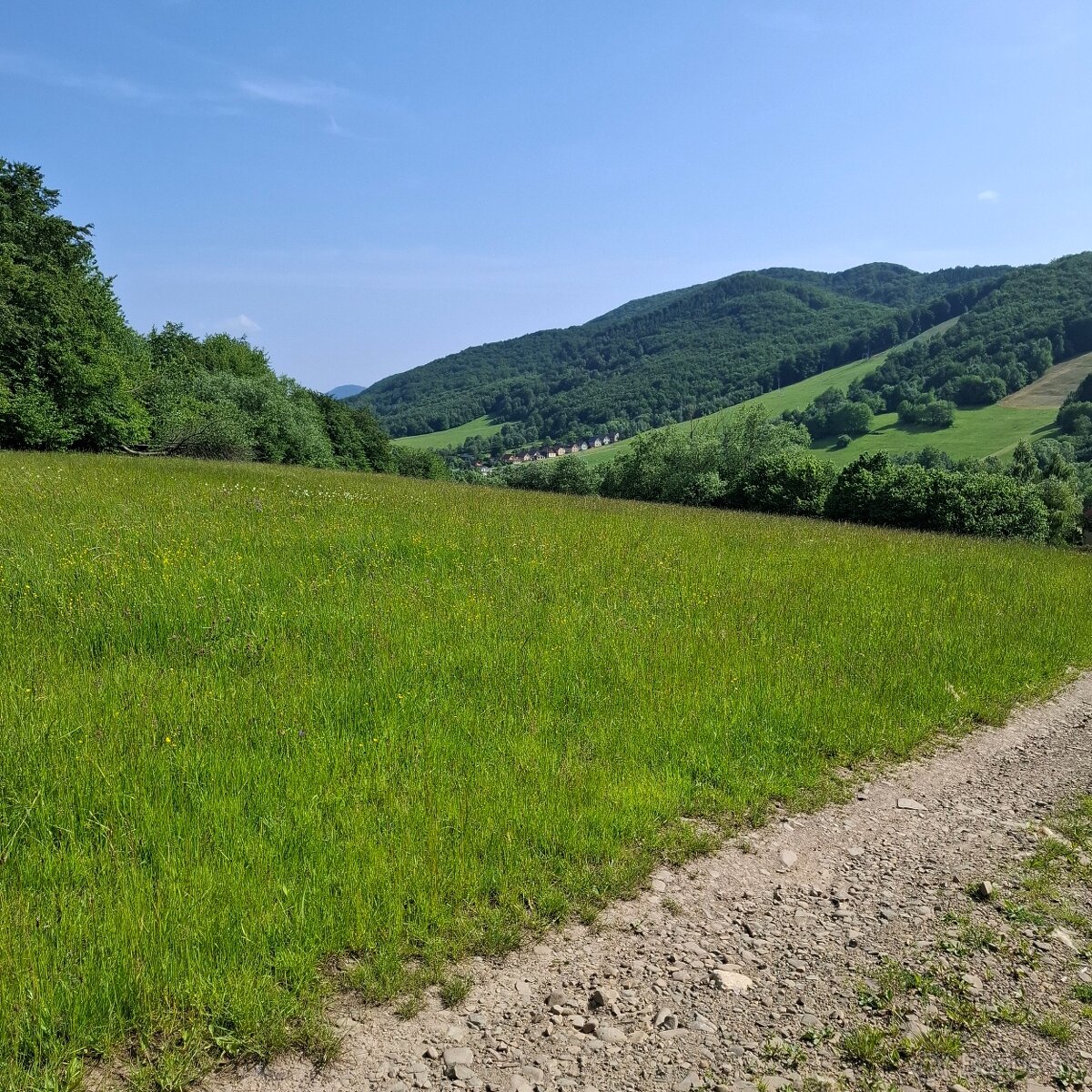 POZEMOK NA VÝSTAVBU REKREAČNEJ CHATY-REGETOVKA - 6