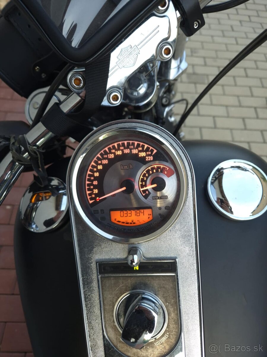 Harley Davidson - Softail 2005 - 6