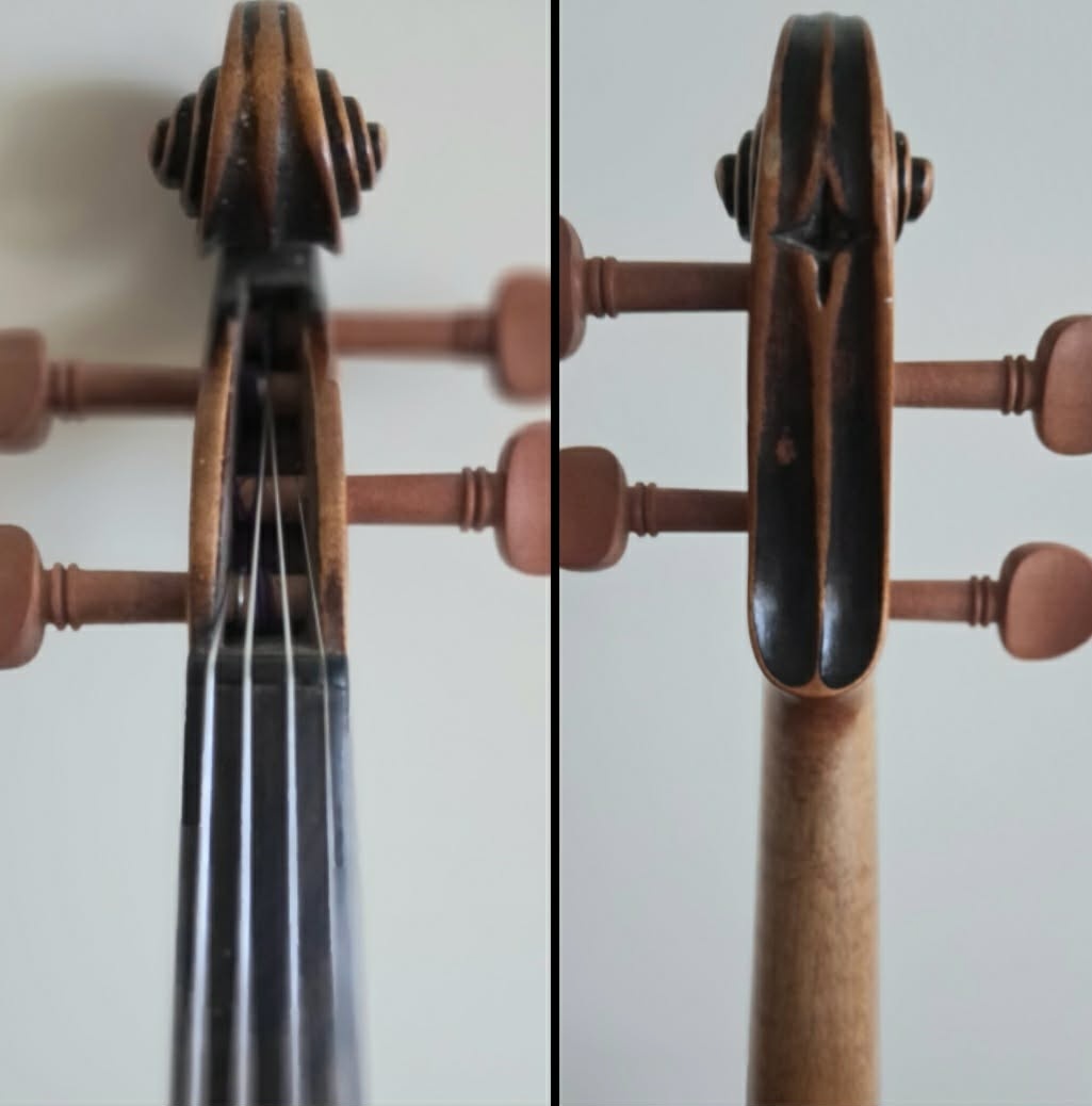 Husle 4/4 model Paolo Maggini - 6