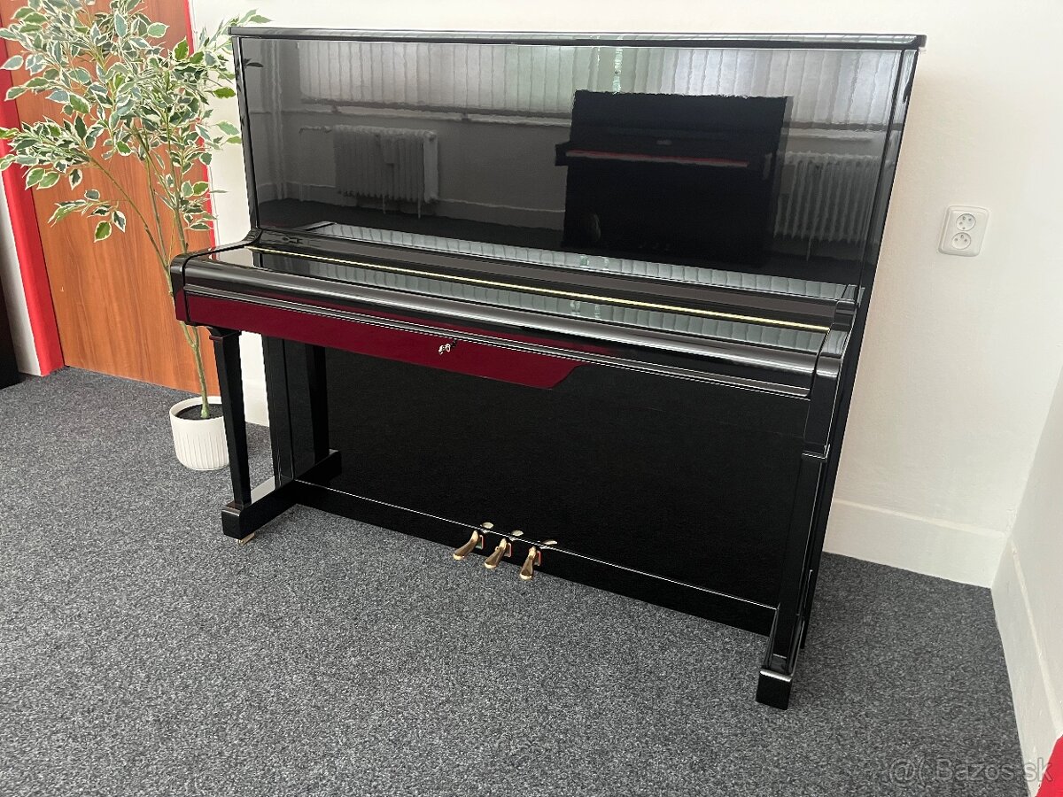 Koncertní Petrof model 125?IIB.Rok v. 1999 - 6