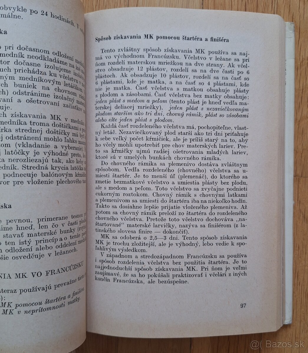 Vcelia materska kasicka - 6