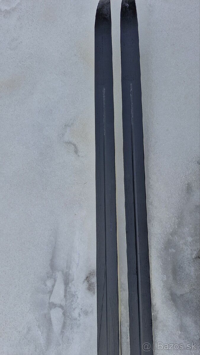 Predam bezky Fischer LS combi 197cm - 6