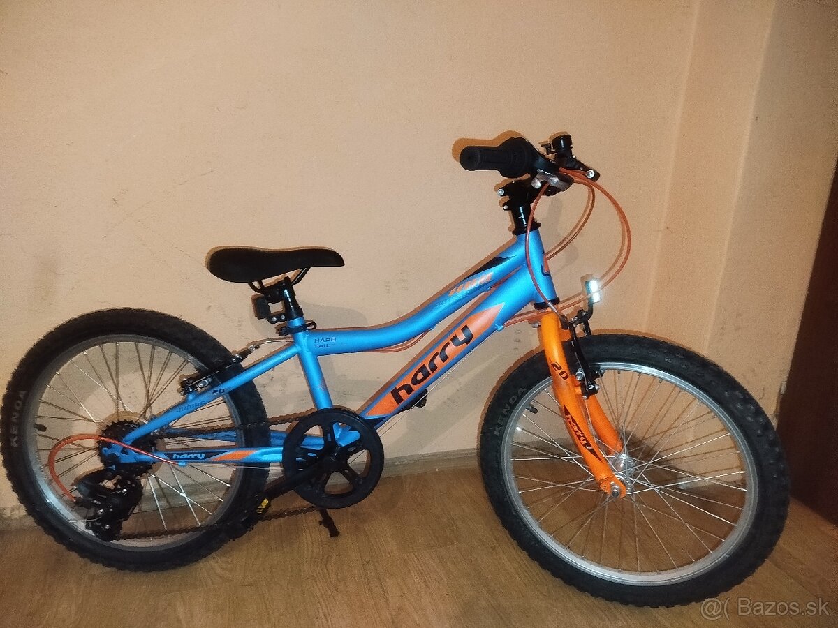 Detský bicykel Harry 20 - 6
