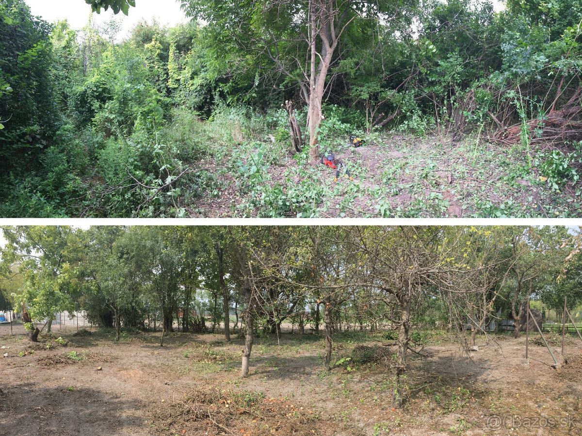 Čistenie zanedbaných pozemkov, údržba pozemkov, kosenie - 6