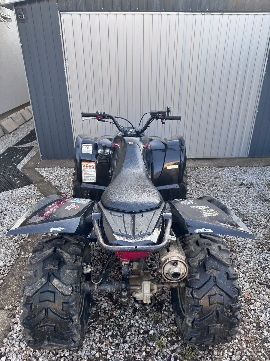 Yamaha Wolverine 450 - 6
