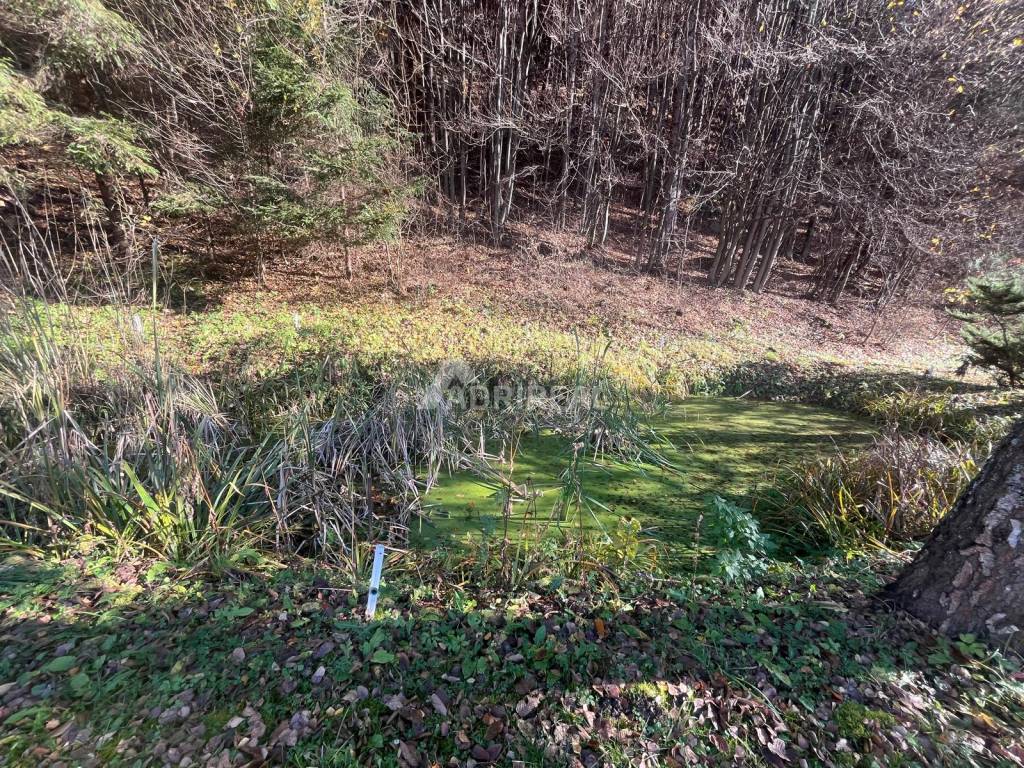 ZĽAVA: Rodinný dom-chata, 639 m2; Dolná Bzová-Podkriváň, 175 - 6