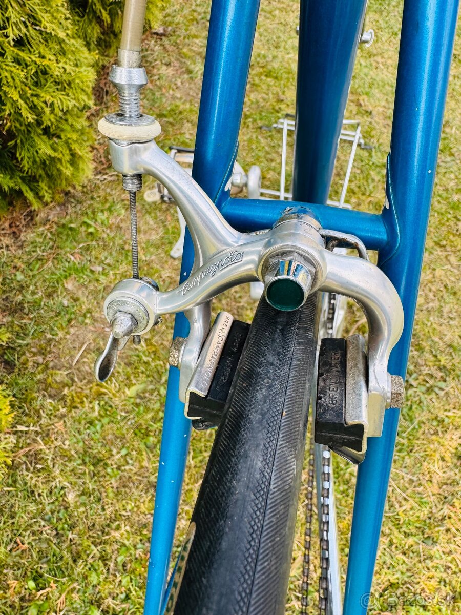 Pinarello “Veggerby” - 6