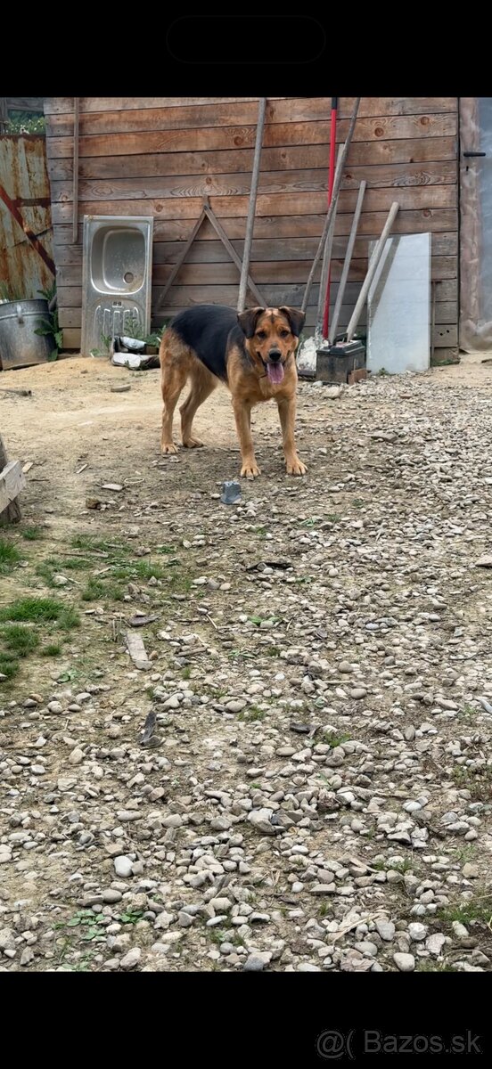 Darujeme fenku ❤️ - 6