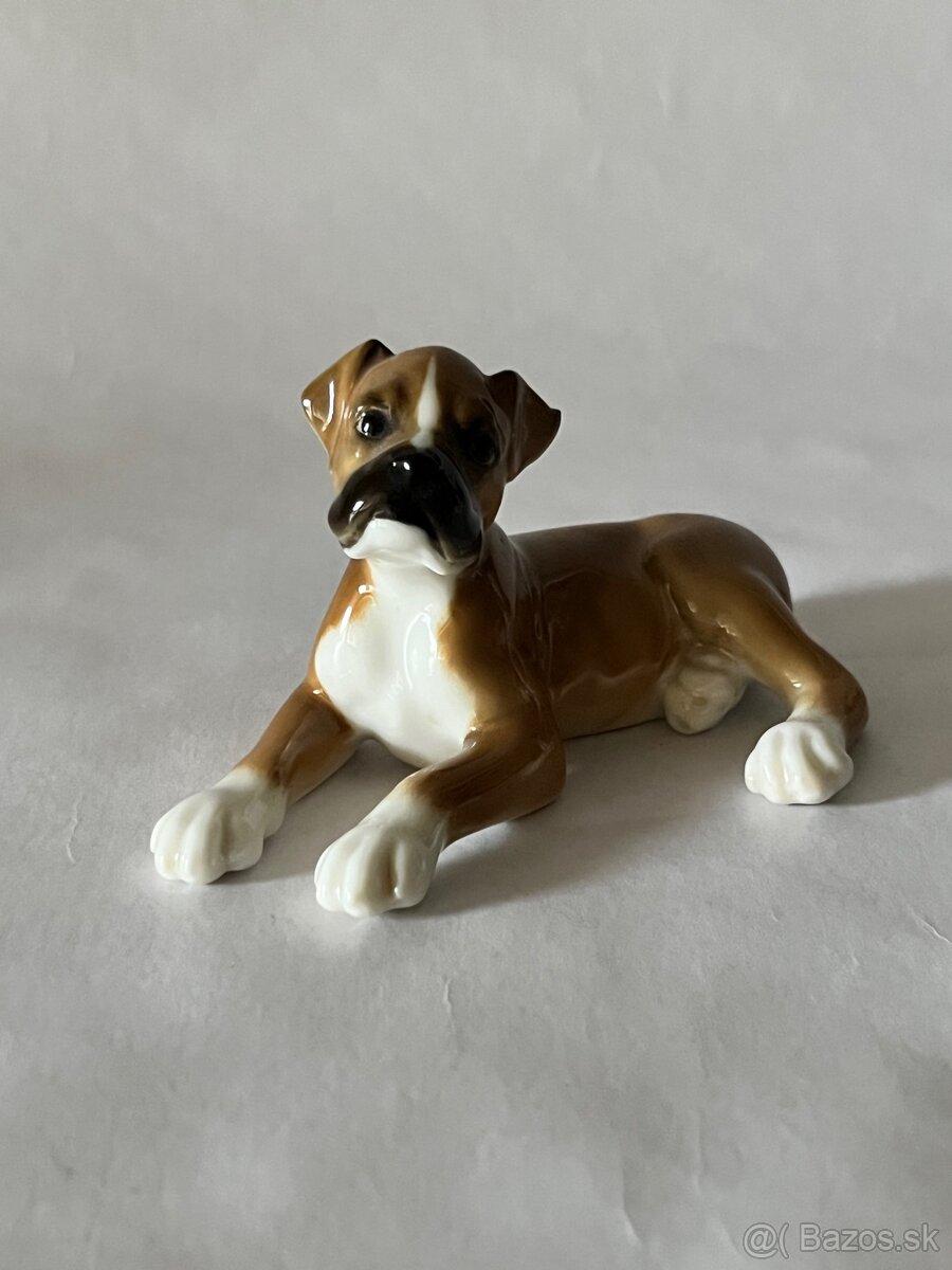 Porcelanove psy Hutschenreuther boxer - 6