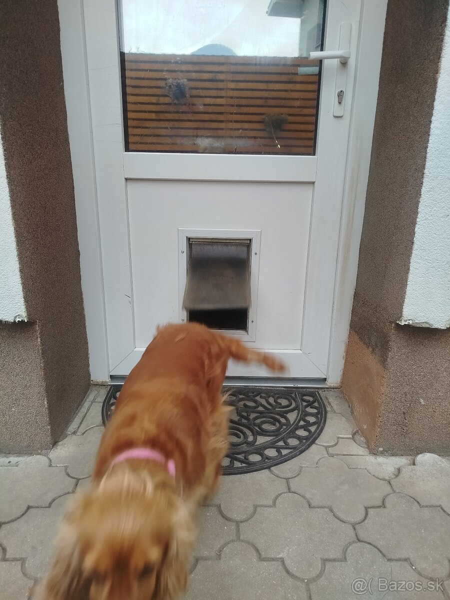 Vchodové dvere 80-ky - 6