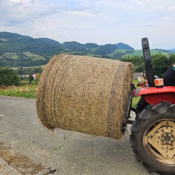 Vidly na prepravu balíkov - 6