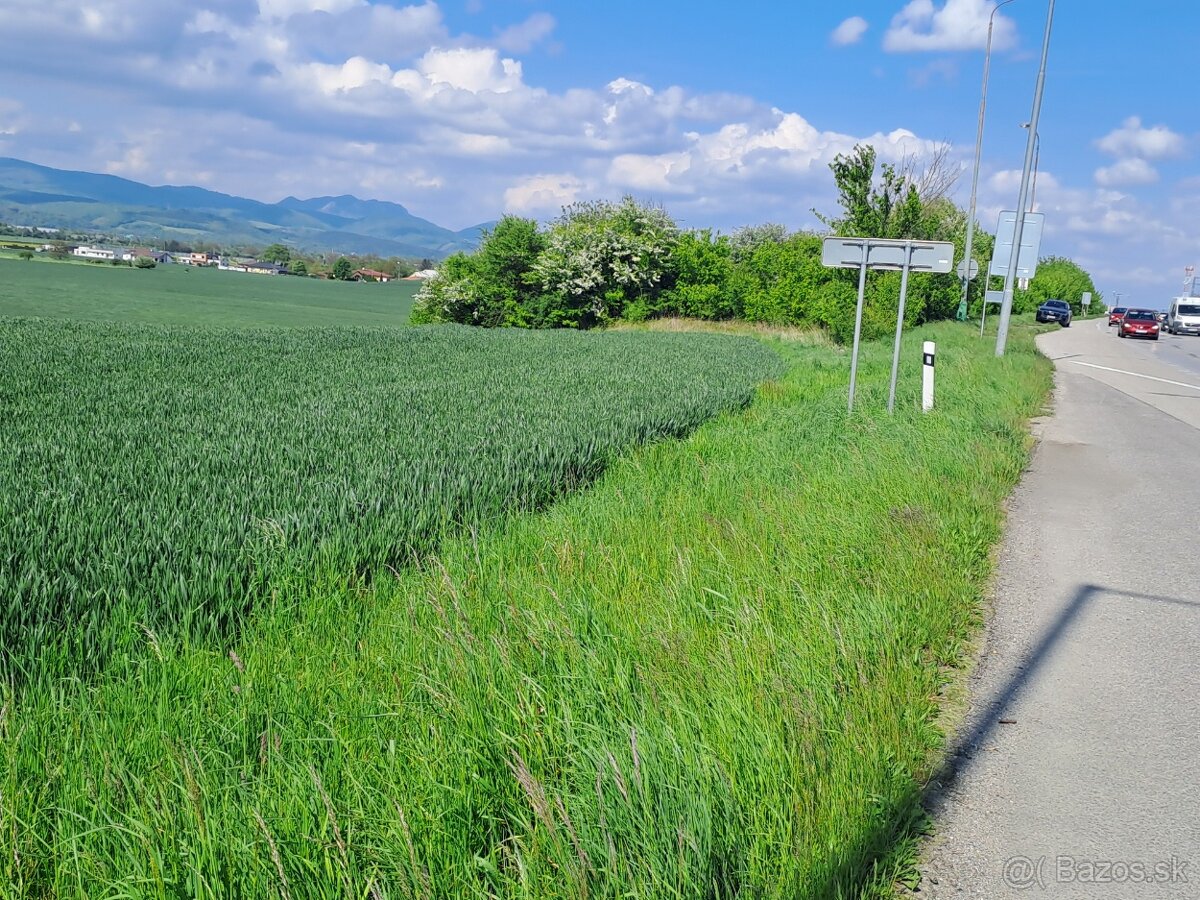 Komerčný pozemok Nová Dubnica 17750 m2 - 6