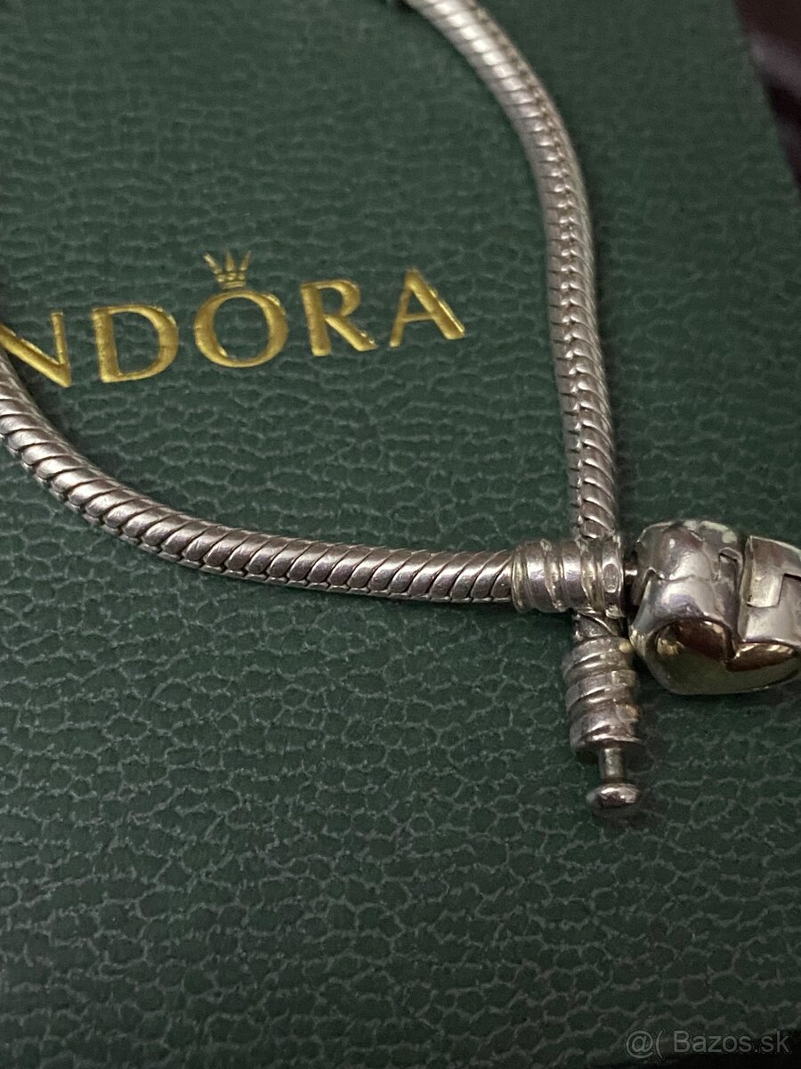 Pandora Bicolor náramok - 6