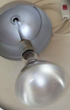 Zväčšovák Krokus SL - 6