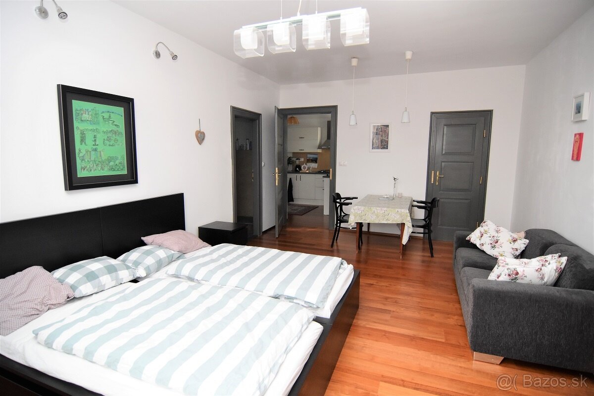 Štýlový, veľký 1-izbový byt v širšom centre - 6