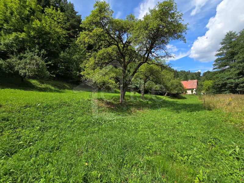 Predaj, Rekreačný objekt/Chata (RE01021486) - 6