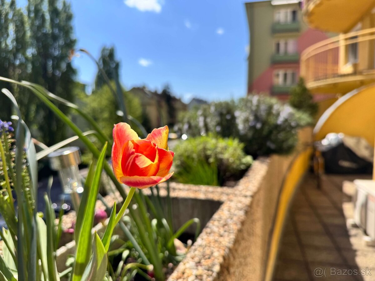 Slnečný 2i byt s 30 m² terasou, možnosť 3i, Rača – bez RK - 6