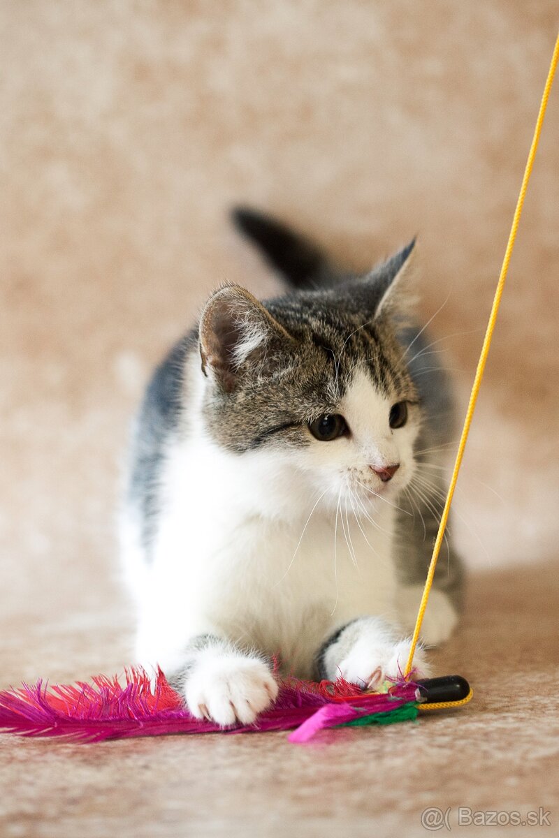 ❤ Lesana - nebojácna a vždy veselá slečna - 6