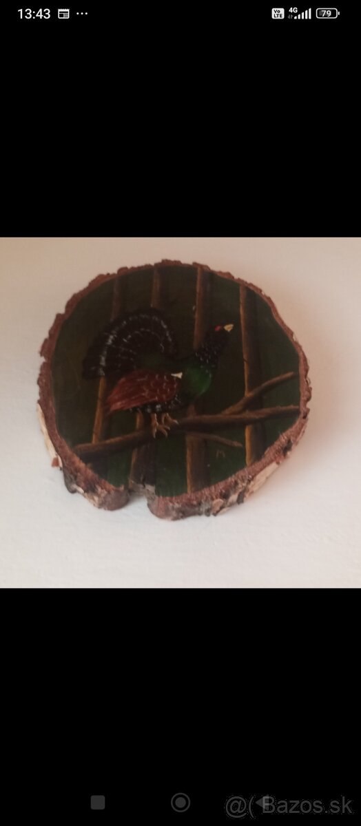 Obrazy krajinka a ine - 6