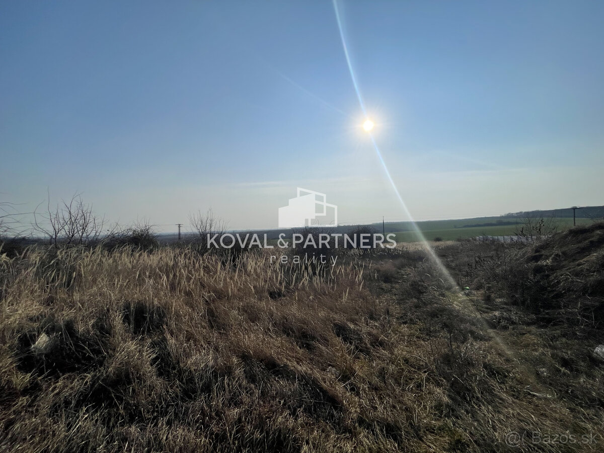 Na predaj orná pôda 3706 m2 - 6