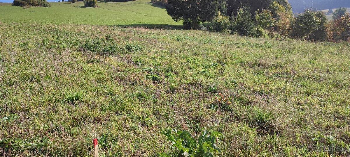 Pozemok Ludrová - 6