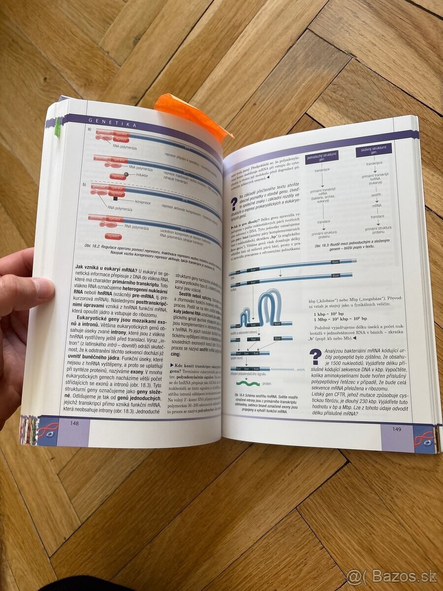 Genetika pre Gymnázia - Eduard Kočárek - 6