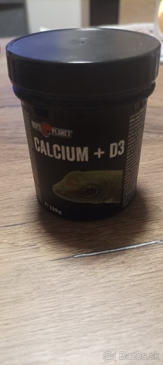 Pagekon riasnatý - 6