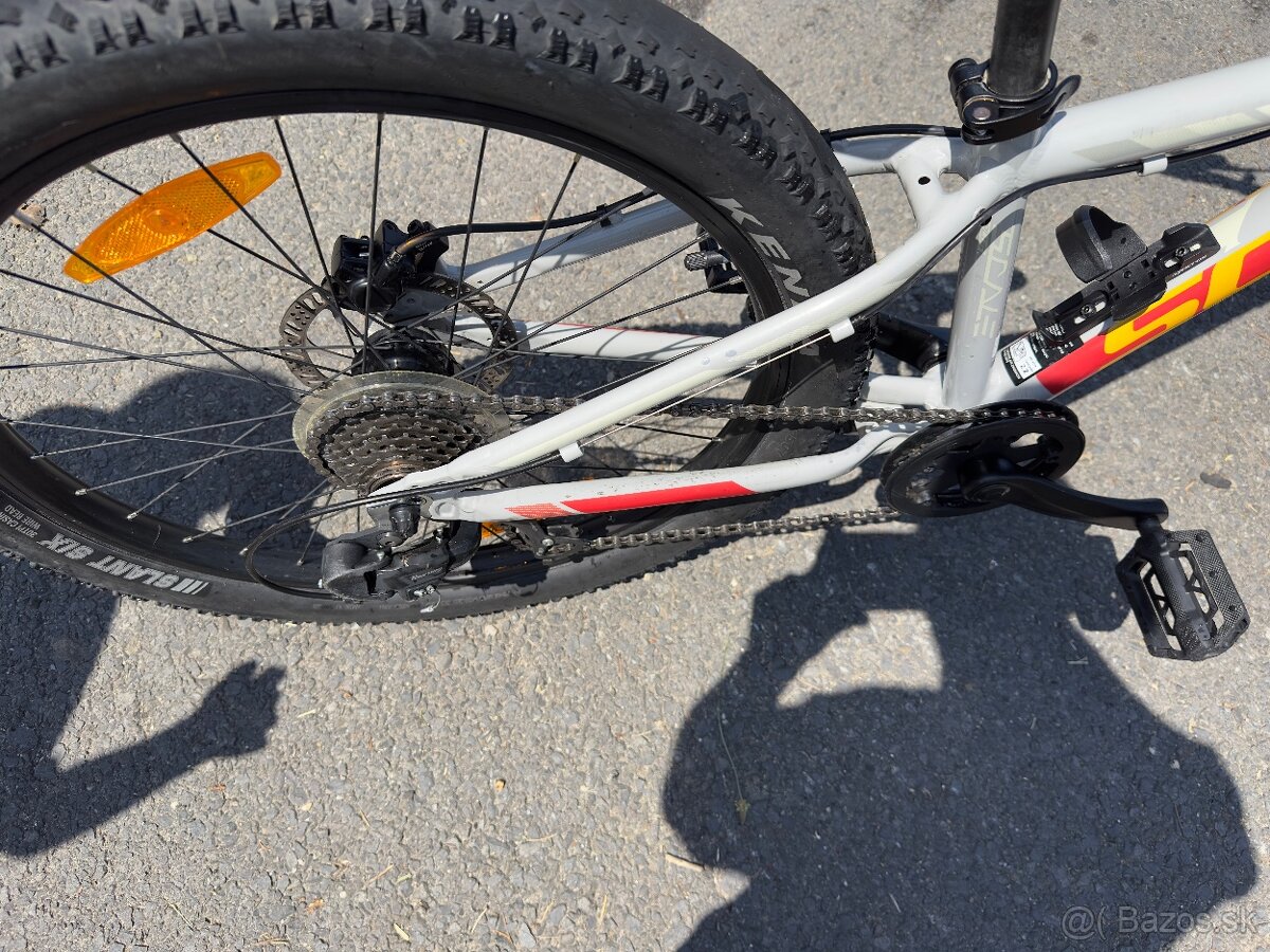 Scott scale plus 24 - 6