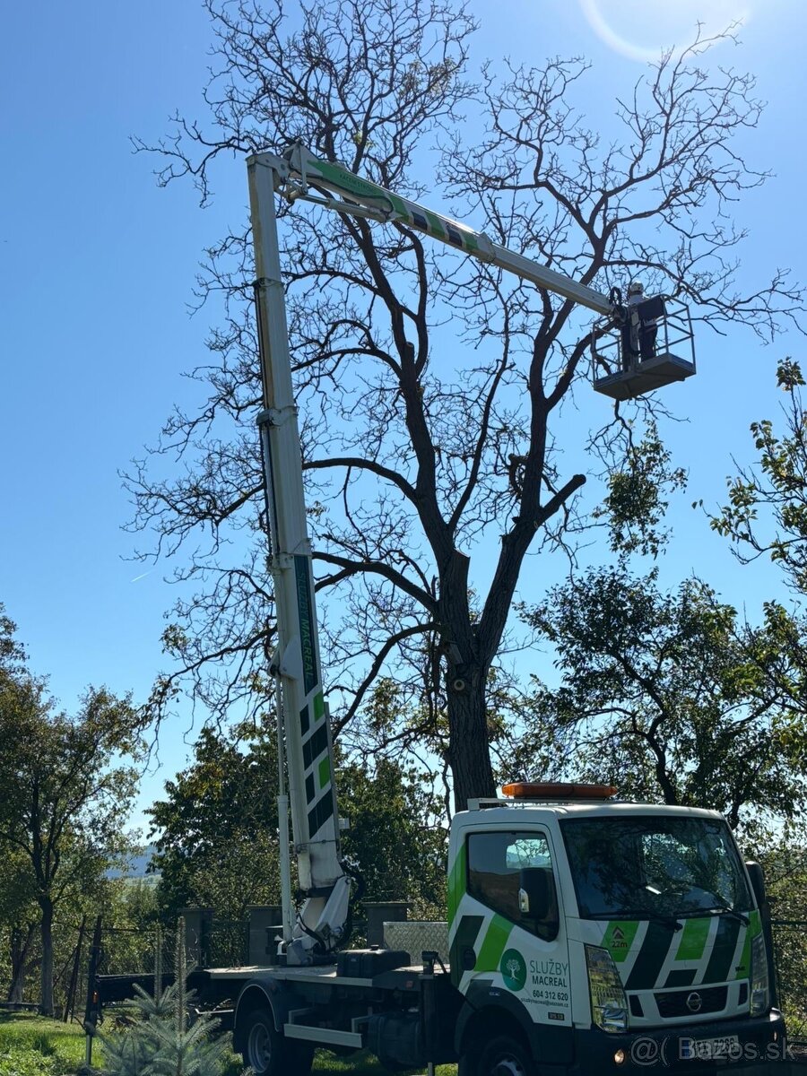 Pílenie stromov, výrub stromov - 6