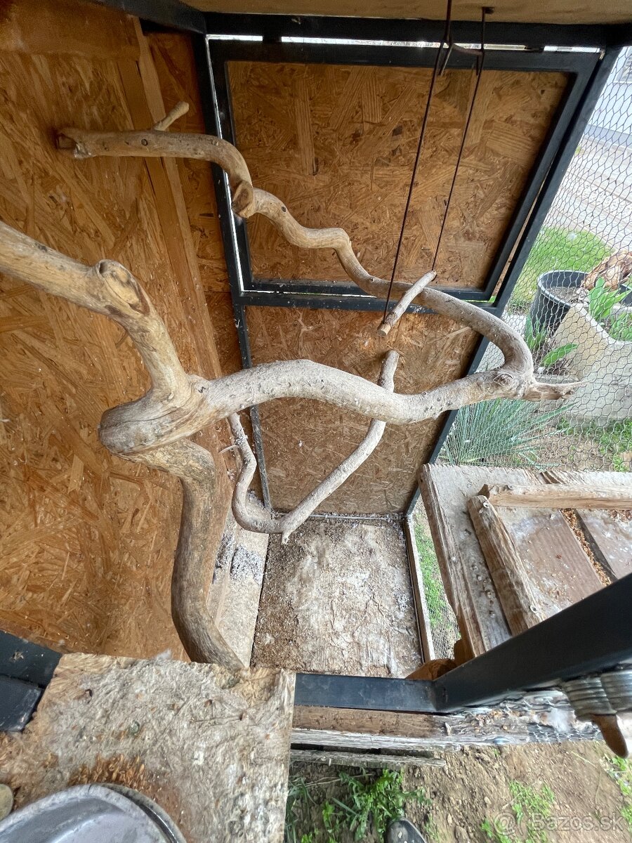 Voliera pre vtáky - 6