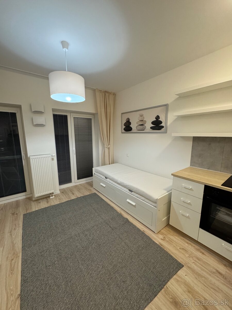 Prenajom 1 izbovy byt v Slnecnice- POP Bratislava - 6