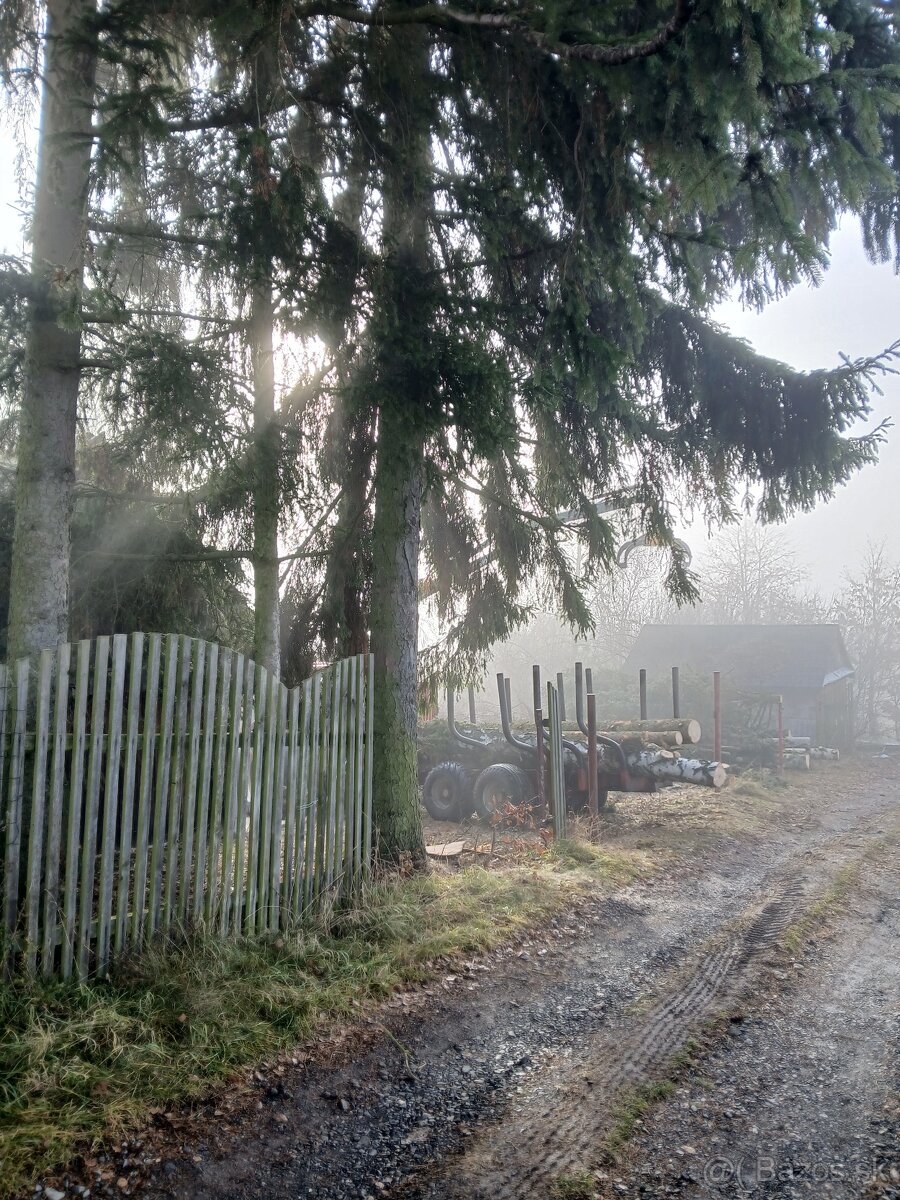 VÝRUB/OREZ STROMOV, LACNO A BEZPEČNE - 6