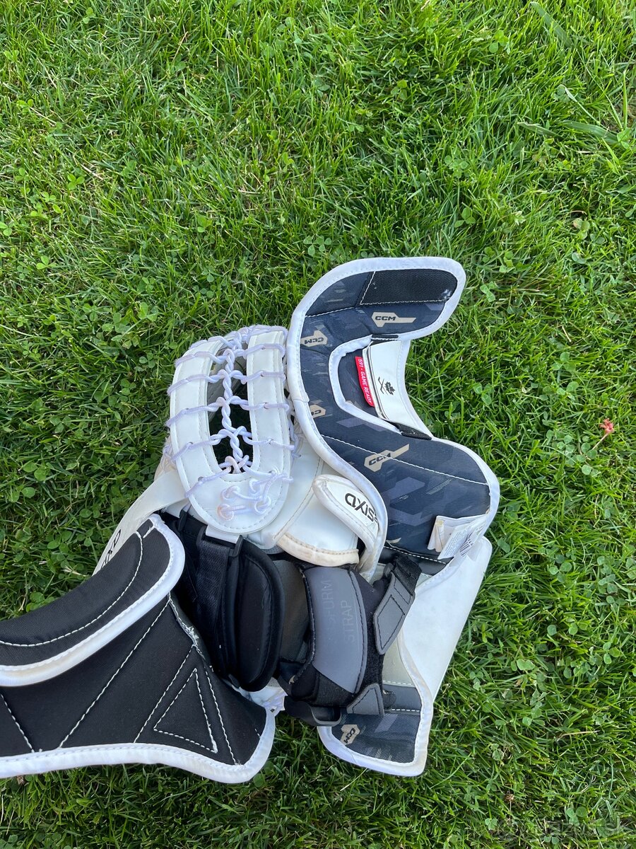 Ccm axis 2.9 intermediate - 6