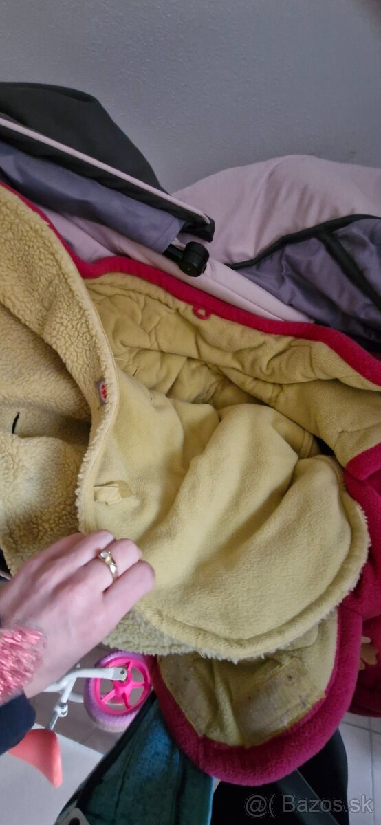 Kočiķ sivoružový - 6