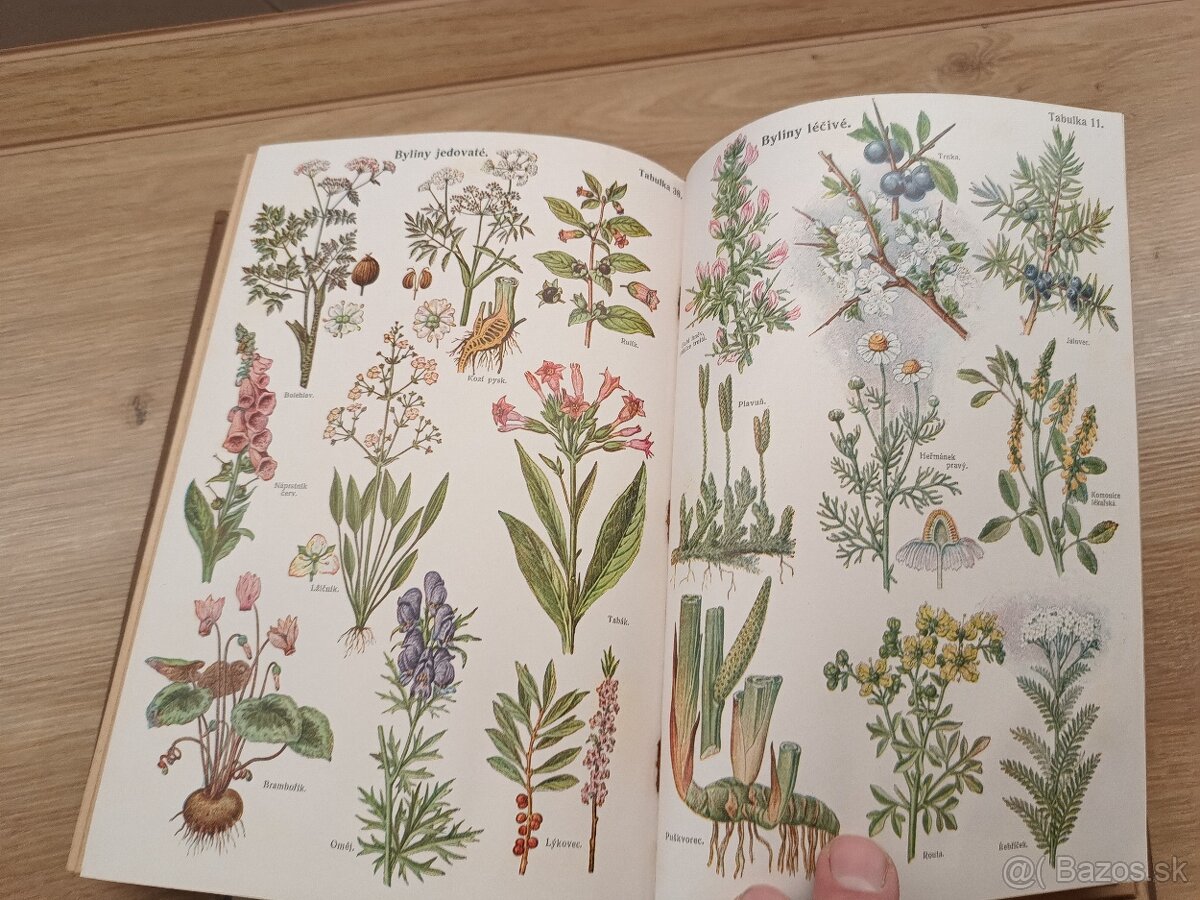 Prírodní léčba a domáci lekár I.+II. 1923 - 6